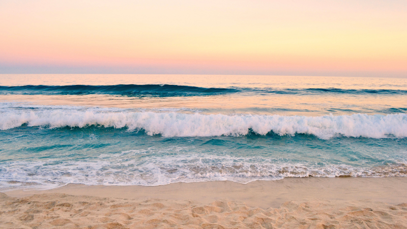 Best Day Trips from Charleston for a Summer Escape | Carolina One Real Estate